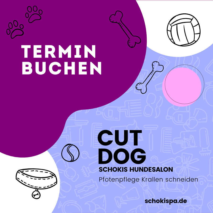 Cut Dog